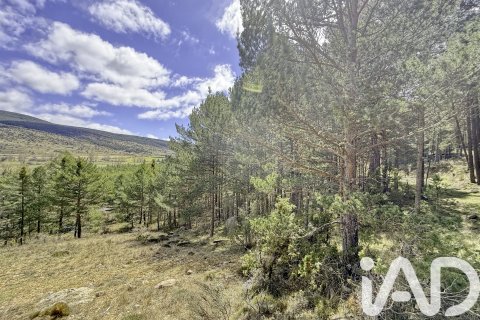 Parcela en Teruel, España 2694 m2 No. 184917