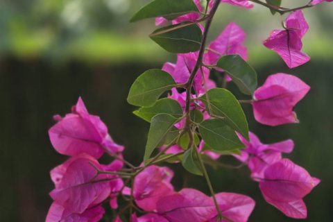 Сasa en venta en Teulada, Alicante, España 4 dormitorios, 212 m2 No. 152926 - foto 29