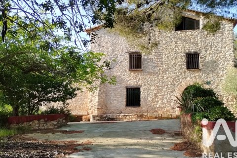 Działka w El Catllar, Tarragona, Hiszpania 40000 mkw. nr 172712 – zdjęcie 3