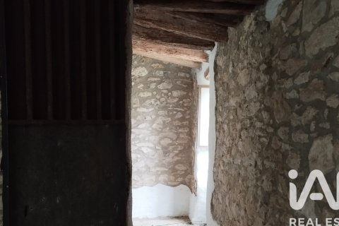 Działka w El Catllar, Tarragona, Hiszpania 40000 mkw. nr 172712 – zdjęcie 14
