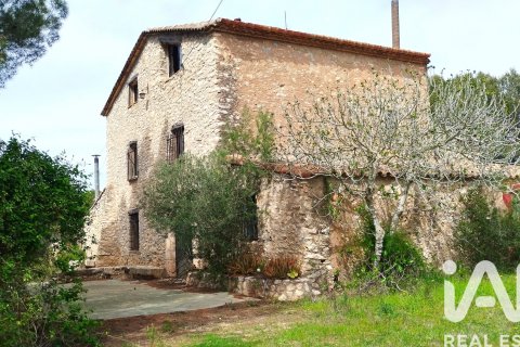 Działka w El Catllar, Tarragona, Hiszpania 40000 mkw. nr 172712 – zdjęcie 2