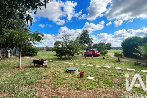 Продажа дома в Сенселлес, Майорка, Испания 2 спальни, 81м2 №172708 - фото 21