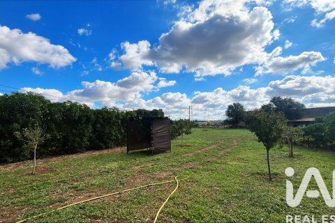 Продажа дома в Сенселлес, Майорка, Испания 2 спальни, 81м2 №172708 - фото 28