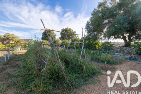 Продажа дома в Сенселлес, Майорка, Испания 2 спальни, 81м2 №172708 - фото 20