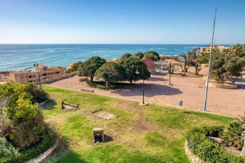 Liikekiinteistö myytävänä Torrevieja, Alicante, Espanja ,  No. 189852 - kuva 22
