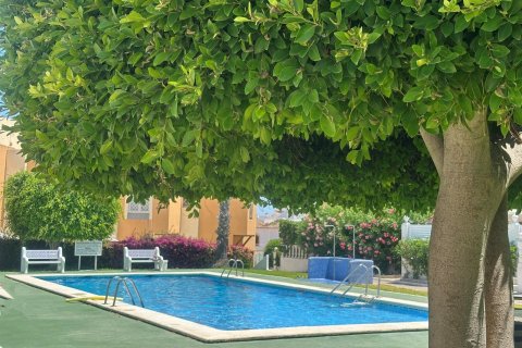 Bungalow à vendre à Torrevieja, Alicante, Espagne, 1 chambre, 45 m2 No. 190578 - photo 5
