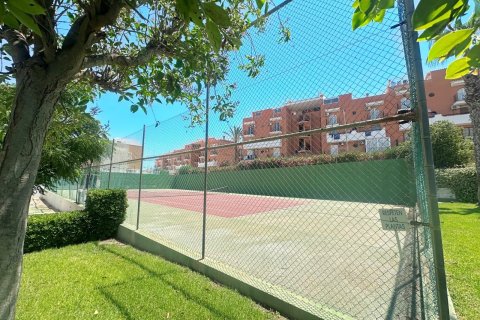 Bungalow à vendre à Torrevieja, Alicante, Espagne, 1 chambre, 45 m2 No. 190578 - photo 11