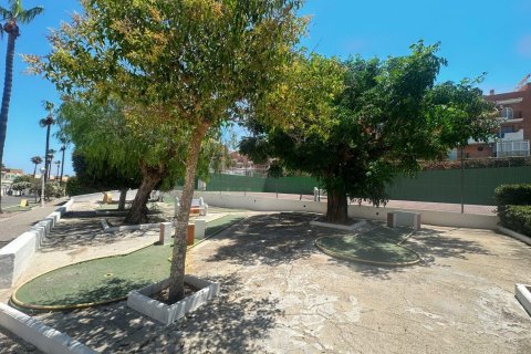 Bungalow à vendre à Torrevieja, Alicante, Espagne, 1 chambre, 45 m2 No. 190578 - photo 8