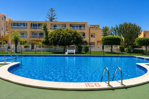 Bungalow à vendre à Torrevieja, Alicante, Espagne, 1 chambre, 45 m2 No. 190578 - photo 2