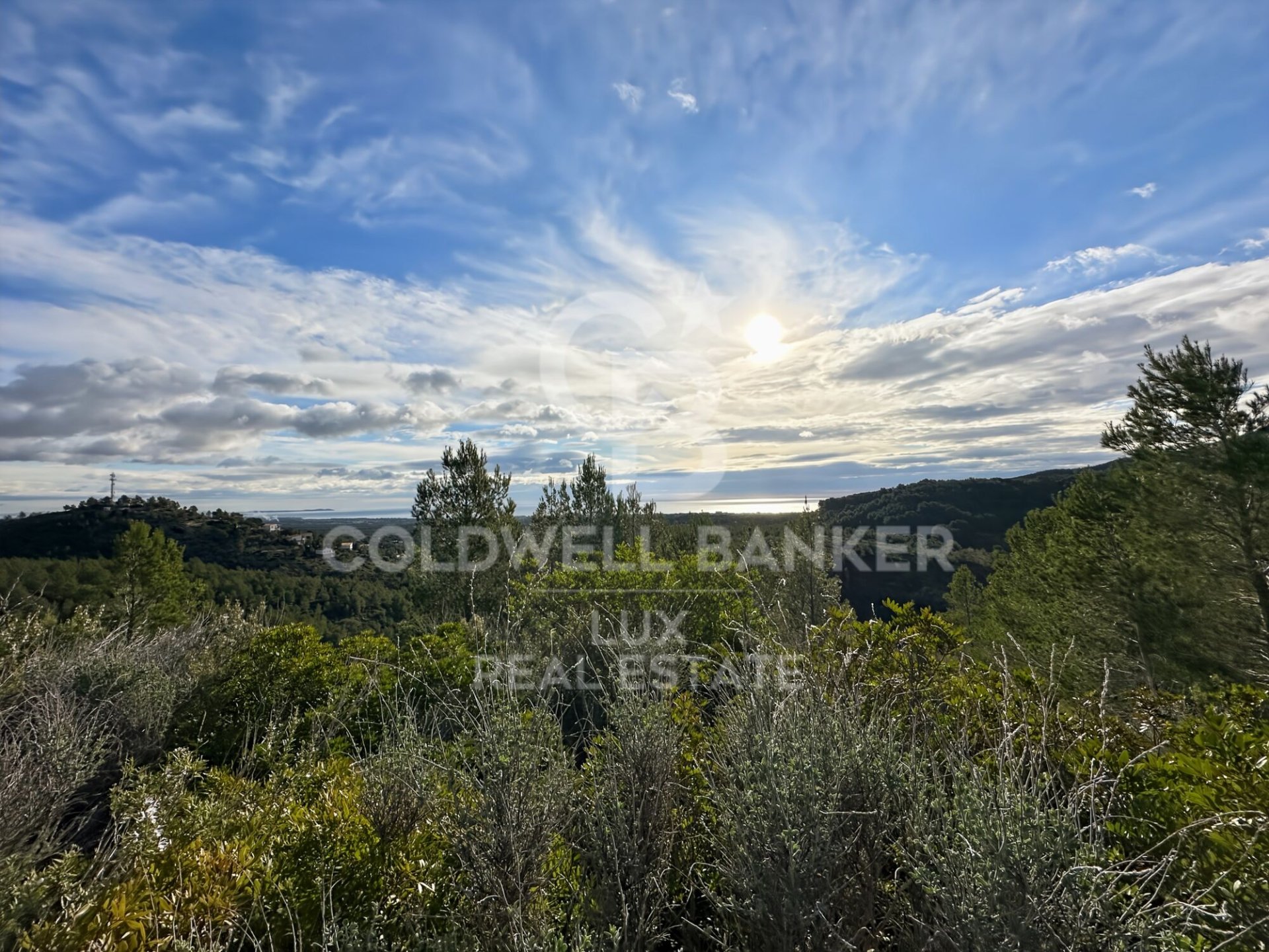 Parcela en Pratdip, Tarragona, España 279167 m2 No. 157739