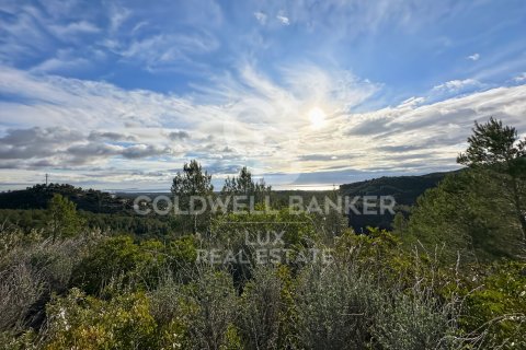 Parcela en venta en Pratdip, Tarragona, España 279167 m2 No. 157739 - foto 18