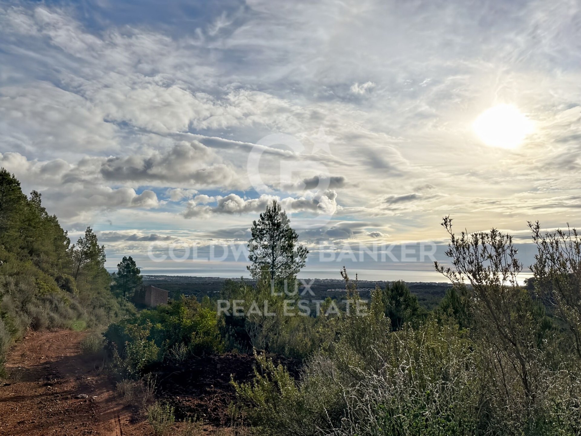 Parcela en Pratdip, Tarragona, España 279167 m2 No. 157739
