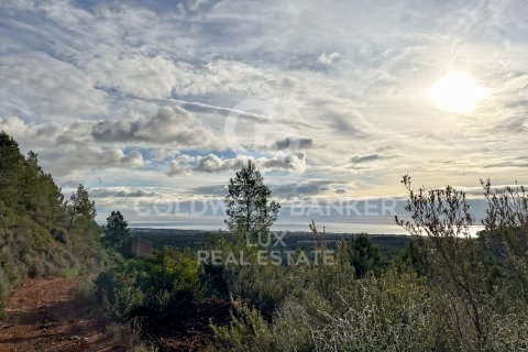 Parcela en venta en Pratdip, Tarragona, España 279167 m2 No. 157739 - foto 9