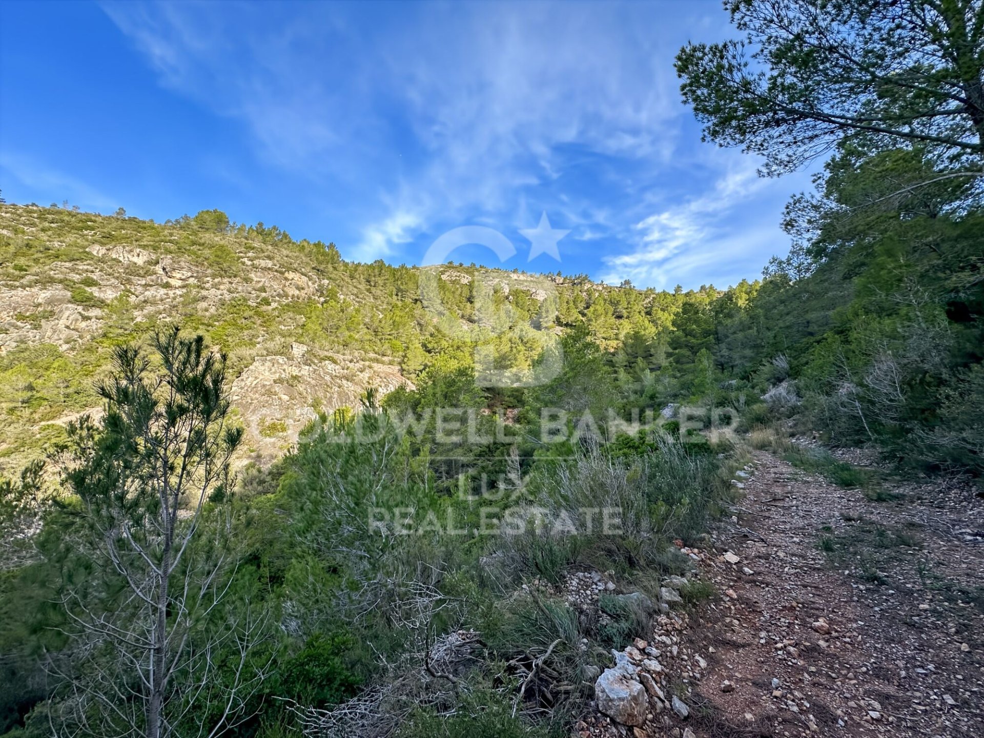 Parcela en Pratdip, Tarragona, España 279167 m2 No. 157739