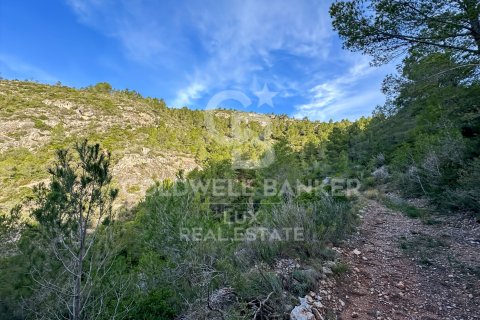 Parcela en venta en Pratdip, Tarragona, España 279167 m2 No. 157739 - foto 10