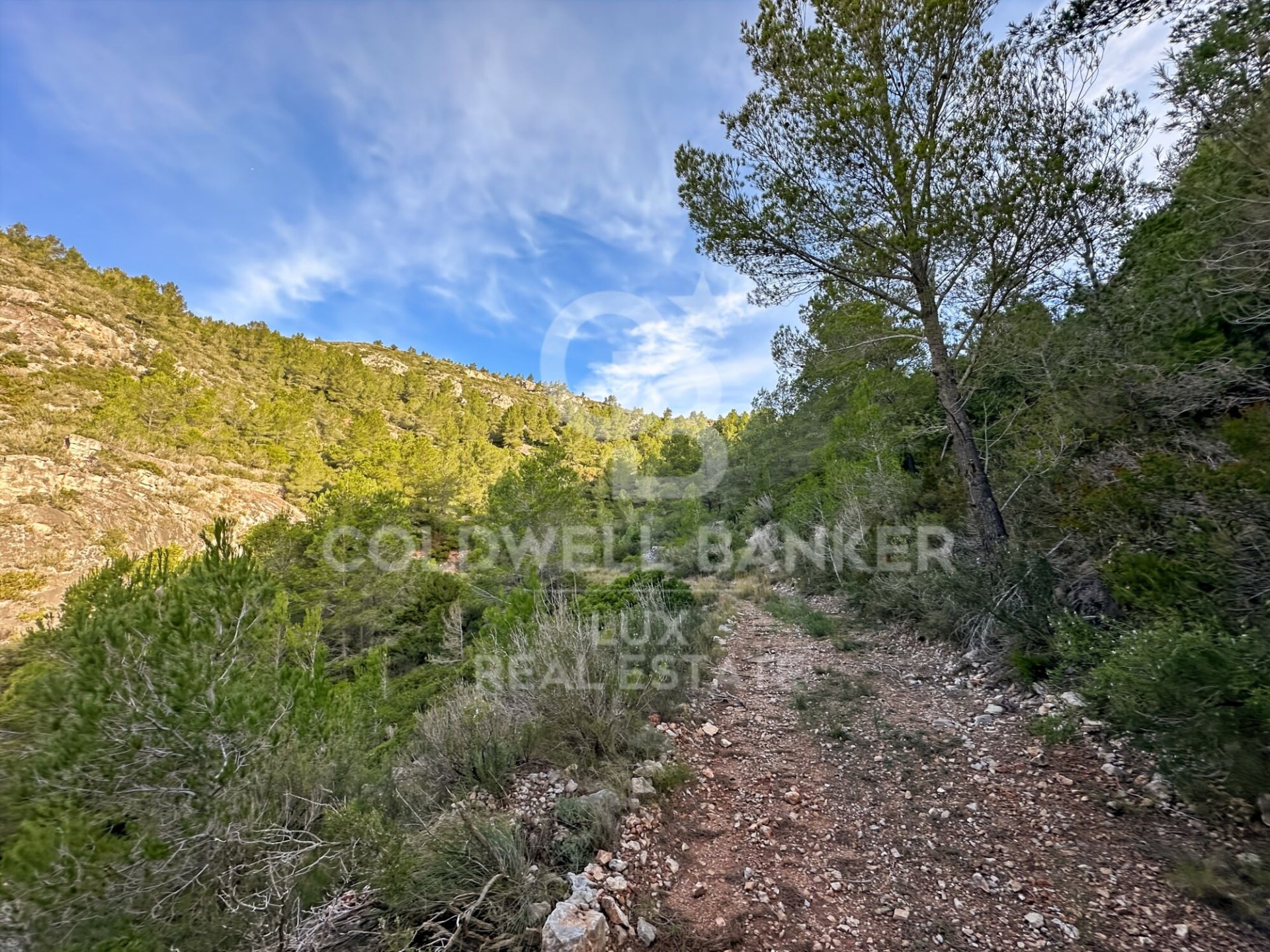 Parcela en Pratdip, Tarragona, España 279167 m2 No. 157739