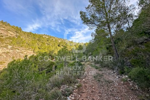 Parcela en venta en Pratdip, Tarragona, España 279167 m2 No. 157739 - foto 8