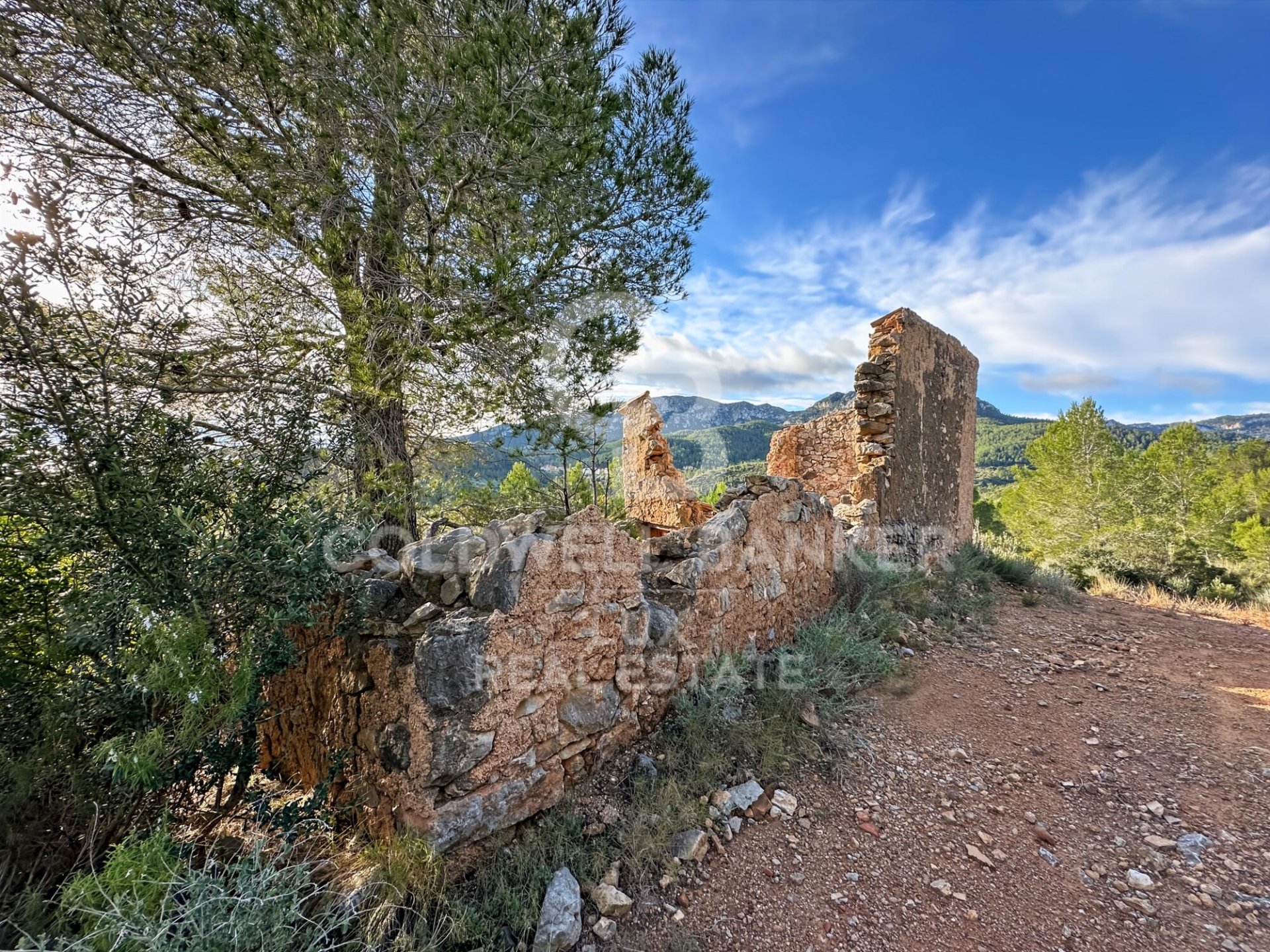 Parcela en Pratdip, Tarragona, España 279167 m2 No. 157739