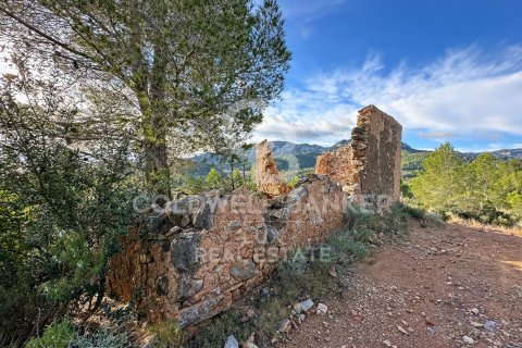 Parcela en venta en Pratdip, Tarragona, España 279167 m2 No. 157739 - foto 19