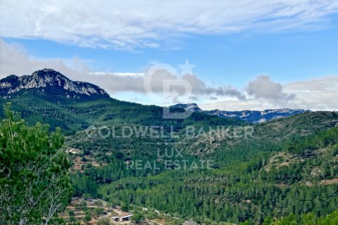 Tontti myytävänä Pratdip, Tarragona, Espanja , 279167 m2 No. 157739 - kuva 3