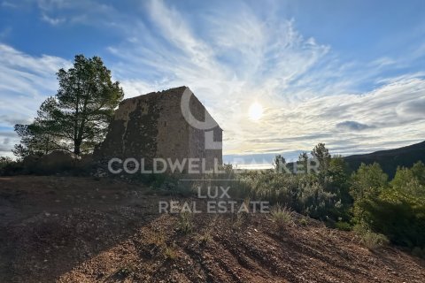 Parcela en venta en Pratdip, Tarragona, España 279167 m2 No. 157739 - foto 2