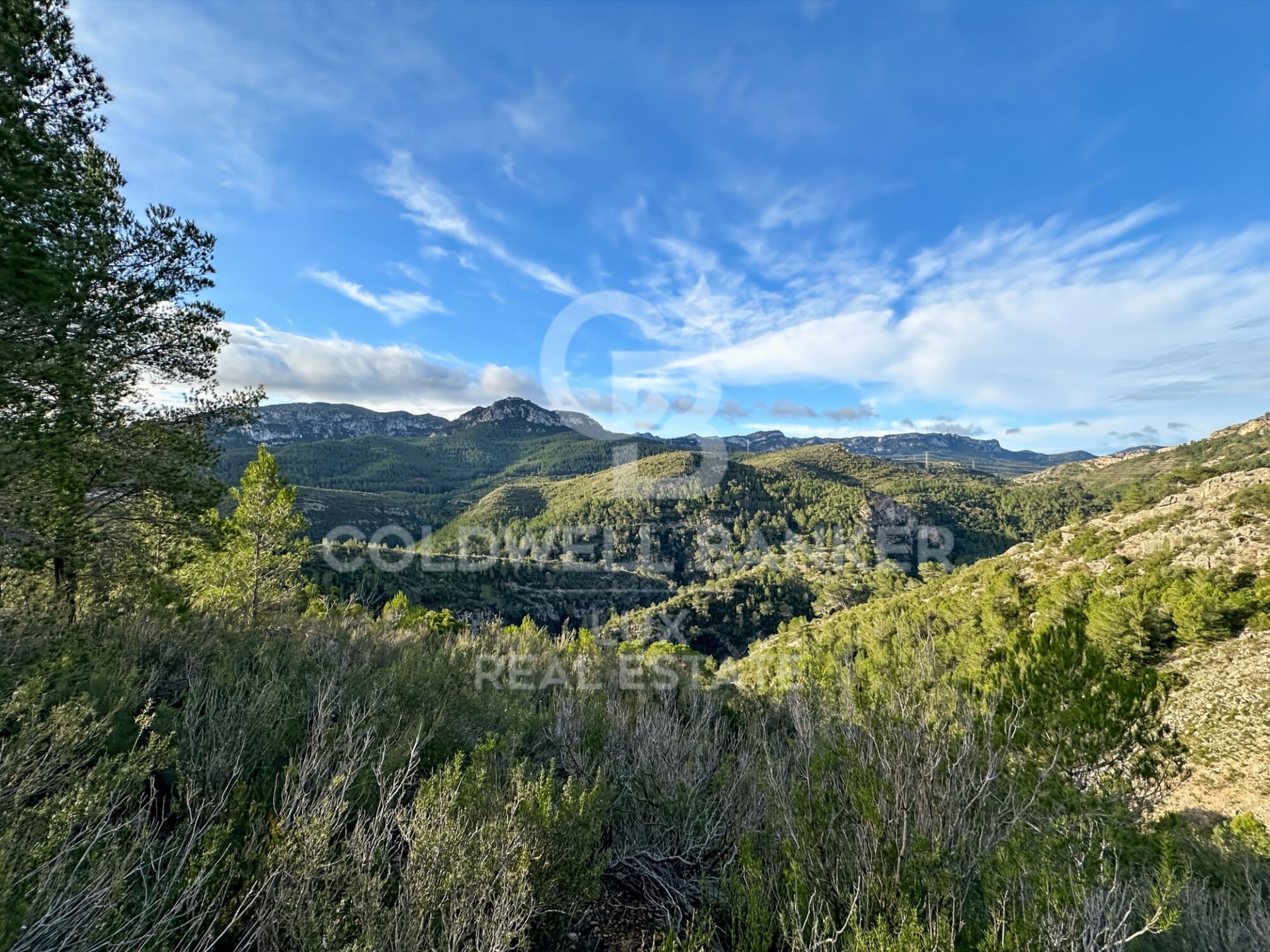 Parcela en Pratdip, Tarragona, España 279167 m2 No. 157739