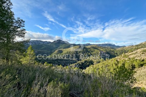 Parcela en venta en Pratdip, Tarragona, España 279167 m2 No. 157739 - foto 22
