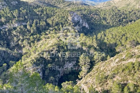 Parcela en venta en Pratdip, Tarragona, España 279167 m2 No. 157739 - foto 15