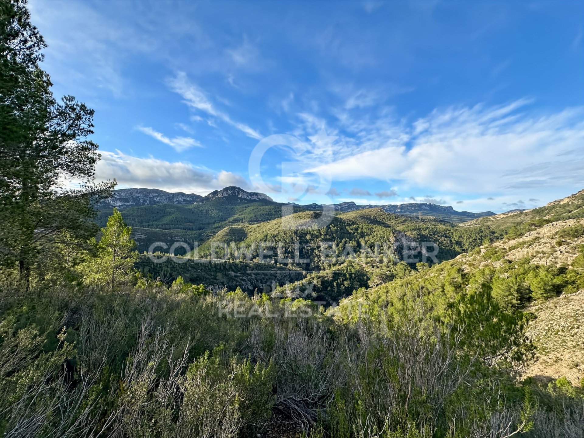 Parcela en Pratdip, Tarragona, España 279167 m2 No. 157739