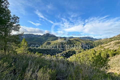 Parcela en venta en Pratdip, Tarragona, España 279167 m2 No. 157739 - foto 11