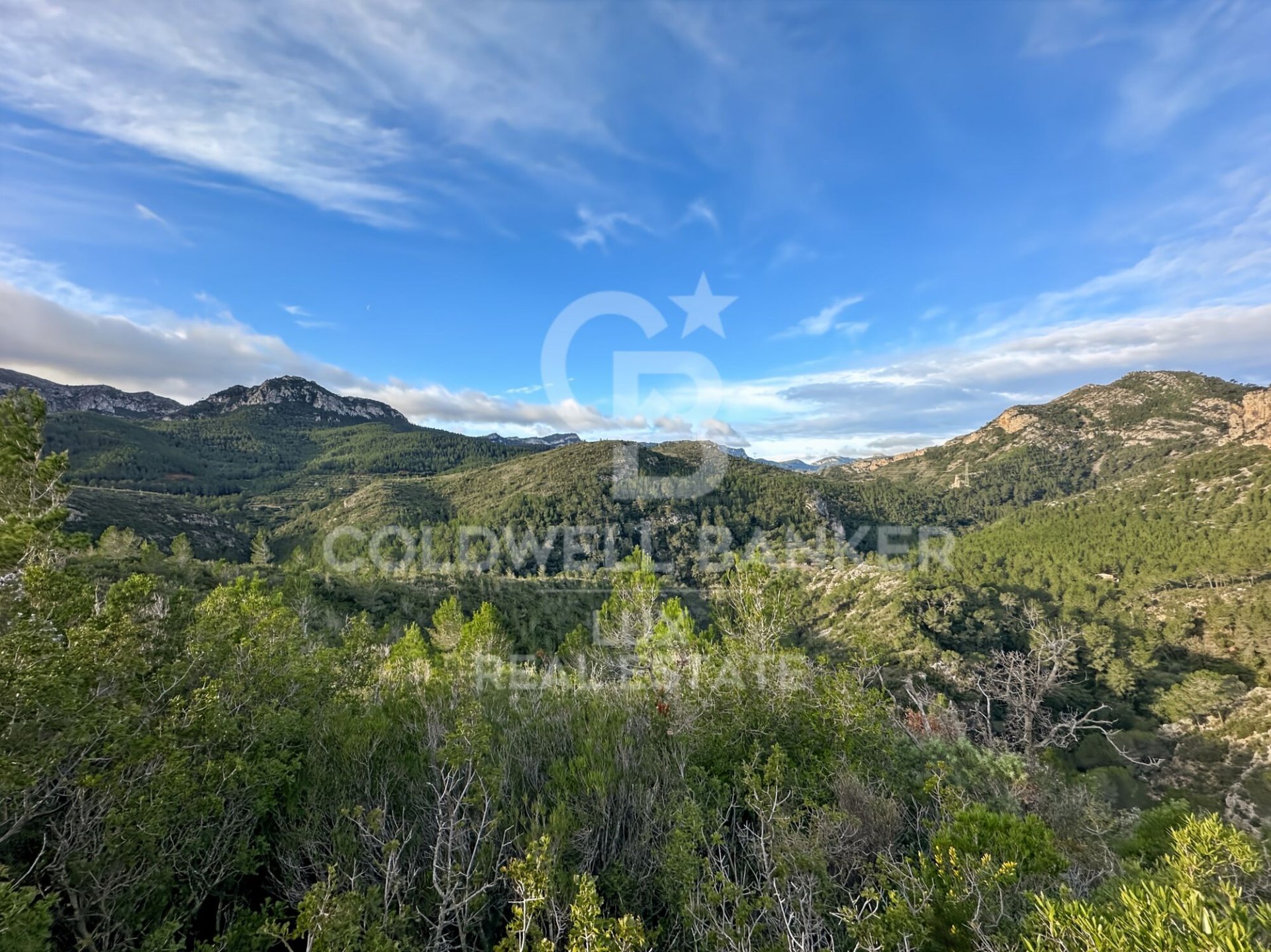 Parcela en Pratdip, Tarragona, España 279167 m2 No. 157739