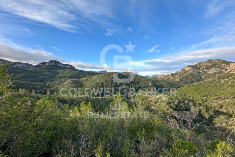 Parcela en venta en Pratdip, Tarragona, España 279167 m2 No. 157739 - foto 14