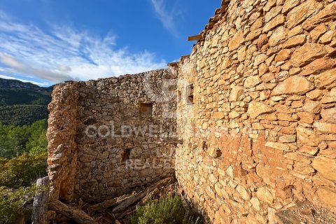 Parcela en venta en Pratdip, Tarragona, España 279167 m2 No. 157739 - foto 16