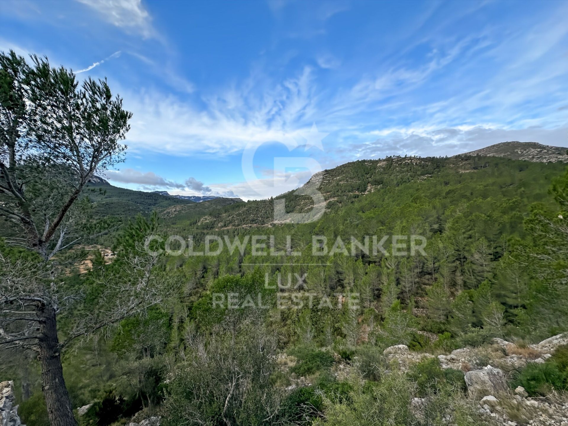 Parcela en Pratdip, Tarragona, España 279167 m2 No. 157739