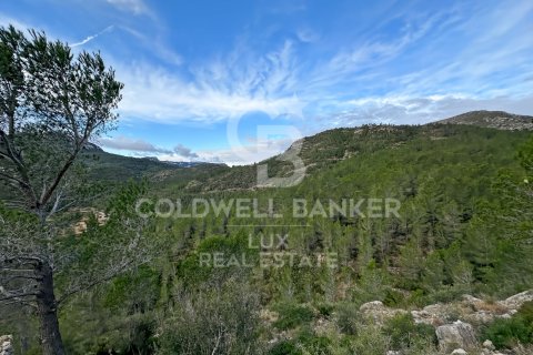 Parcela en venta en Pratdip, Tarragona, España 279167 m2 No. 157739 - foto 6