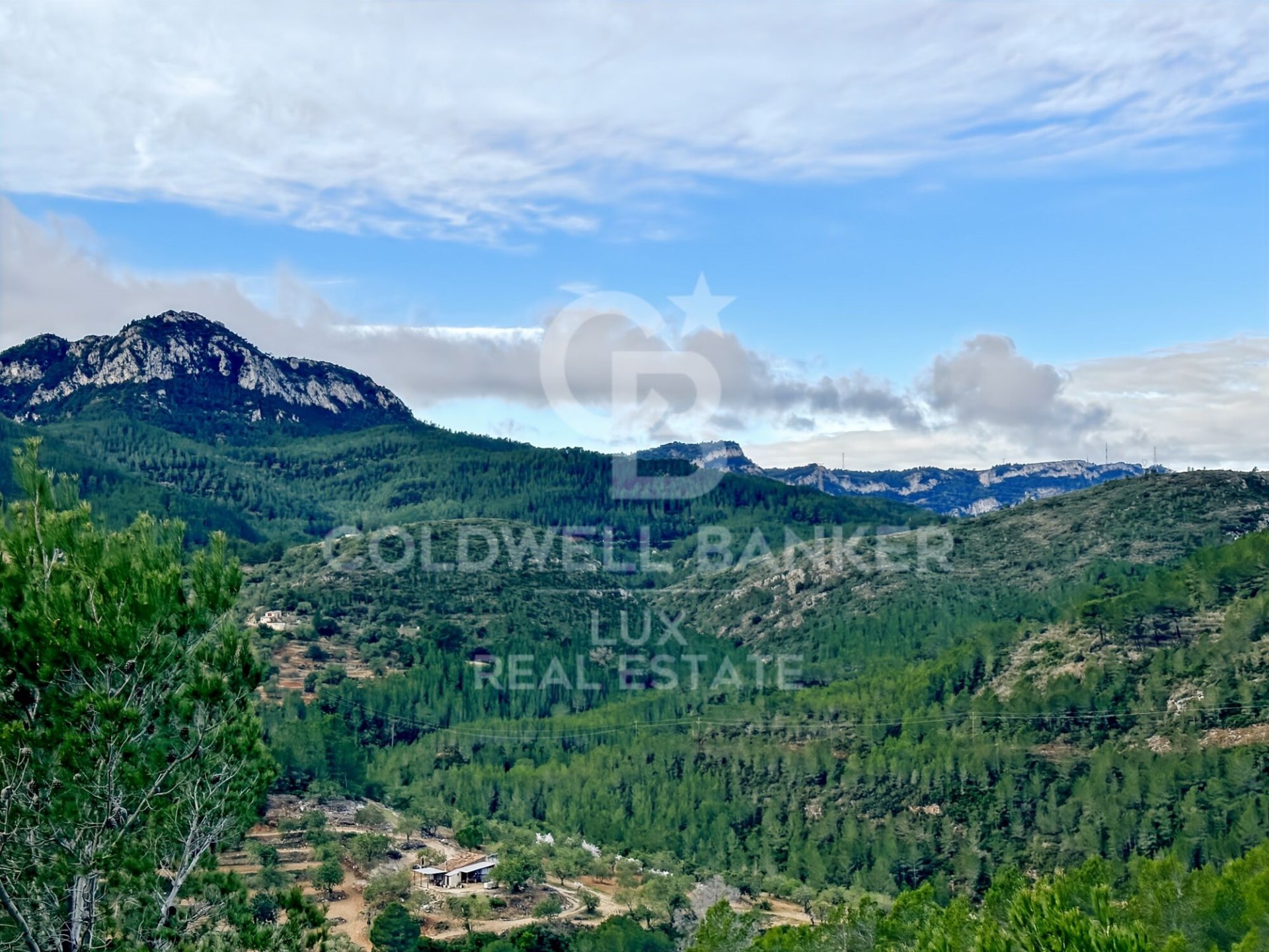 Parcela en Pratdip, Tarragona, España 279167 m2 No. 157739