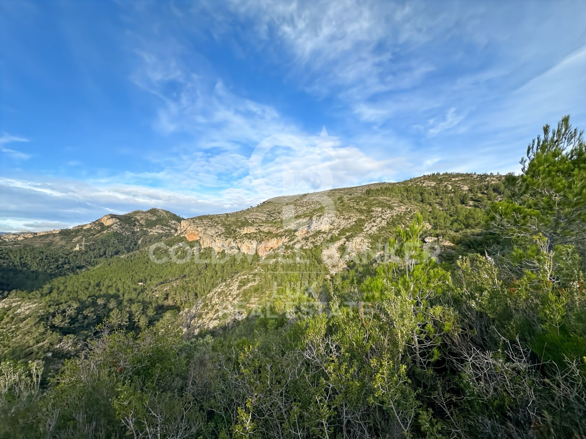 Parcela en Pratdip, Tarragona, España 279167 m2 No. 157739