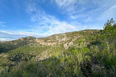 Parcela en venta en Pratdip, Tarragona, España 279167 m2 No. 157739 - foto 7