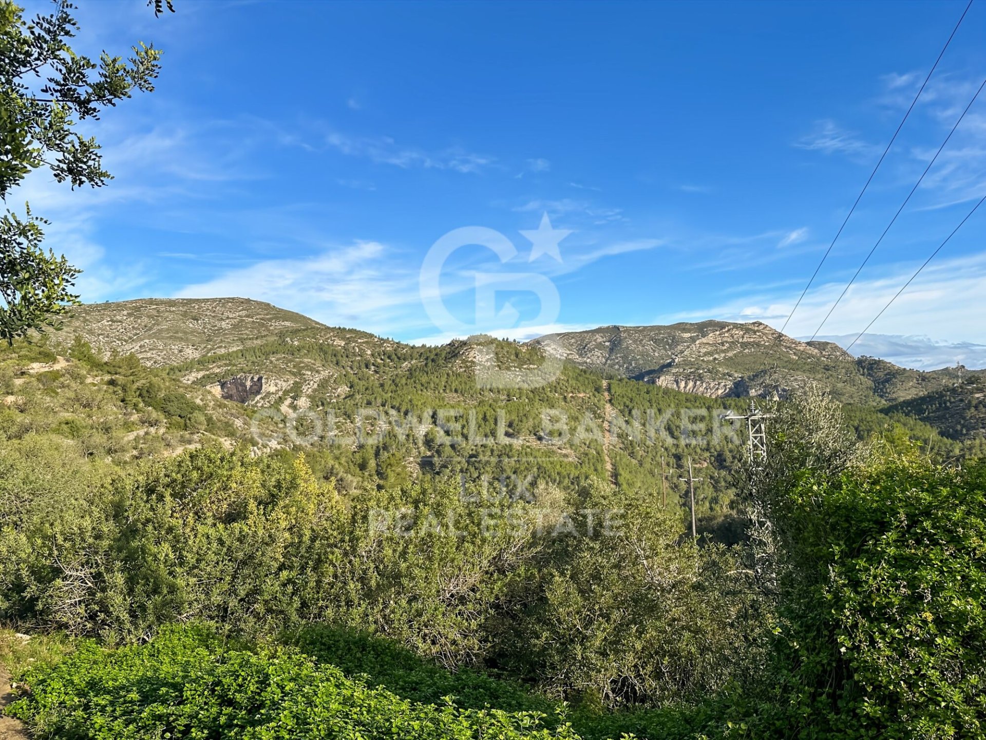 Parcela en Pratdip, Tarragona, España 279167 m2 No. 157739