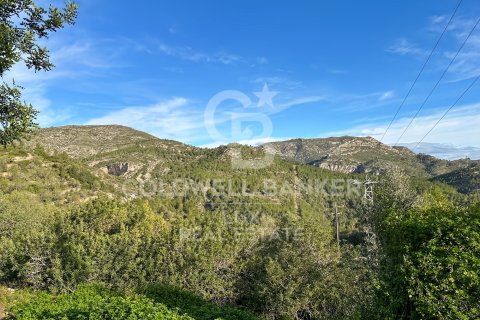 Parcela en venta en Pratdip, Tarragona, España 279167 m2 No. 157739 - foto 21