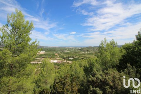 Terreno in vendita a Ador, Valencia, Spagna 12500 mq. N° 154205 - foto 4