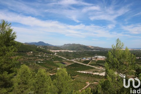 Terreno in vendita a Ador, Valencia, Spagna 12500 mq. N° 154205 - foto 6