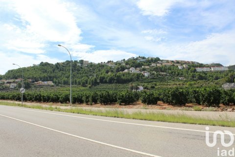 Terreno in vendita a Ador, Valencia, Spagna 12500 mq. N° 154205 - foto 17