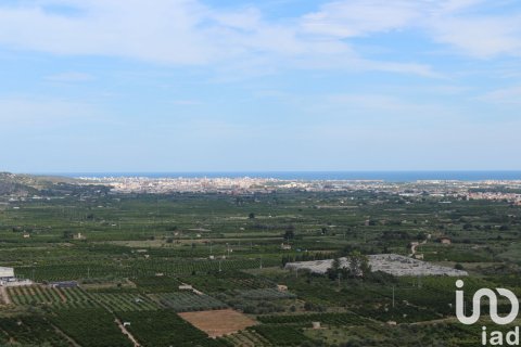 Земельный участок в Адор, Валенсия, Испания 12500м2 №154205