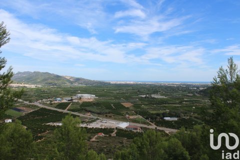 Terreno in vendita a Ador, Valencia, Spagna 12500 mq. N° 154205 - foto 2