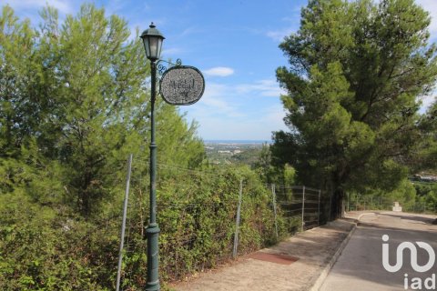 Terreno in vendita a Ador, Valencia, Spagna 12500 mq. N° 154205 - foto 8