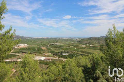 Terreno in vendita a Ador, Valencia, Spagna 12500 mq. N° 154205 - foto 3