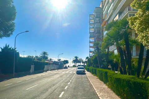 Apartament w Dehesa De Campoamor, Alicante, Hiszpania 3 sypialnie, 67 mkw. nr 155673 – zdjęcie 3