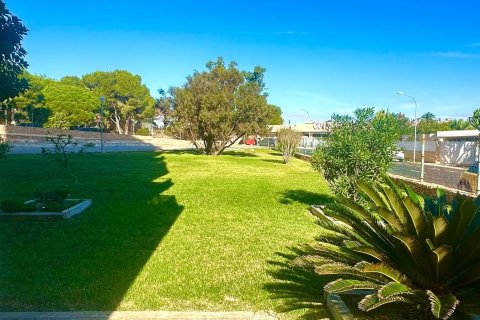 Apartament w Dehesa De Campoamor, Alicante, Hiszpania 3 sypialnie, 67 mkw. nr 155673 – zdjęcie 5