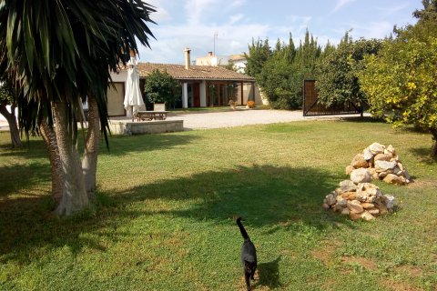 Villa à vendre Establiments, Mallorca, Espagne, 3 chambres, 226 m2 No. 139222 - photo 1